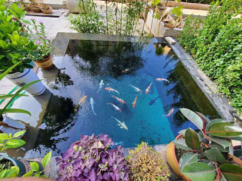 濟寧藝水芳源魚池過濾器客戶實地效果展示