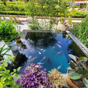 濟寧藝水芳源魚池過濾器客戶實地效果展示