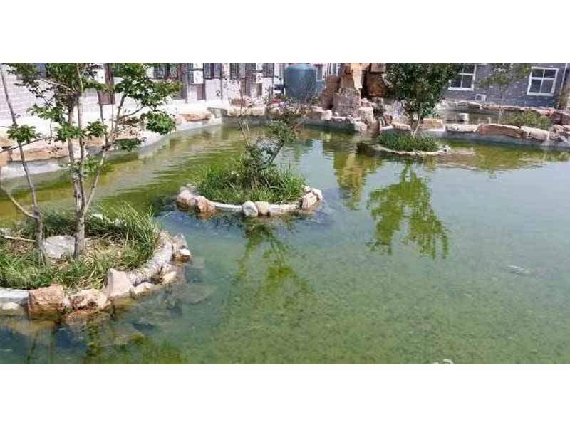 全自動(dòng)循環(huán)水設(shè)備