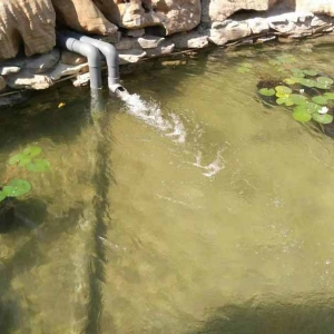 魚池過濾器客戶實(shí)地效果展示